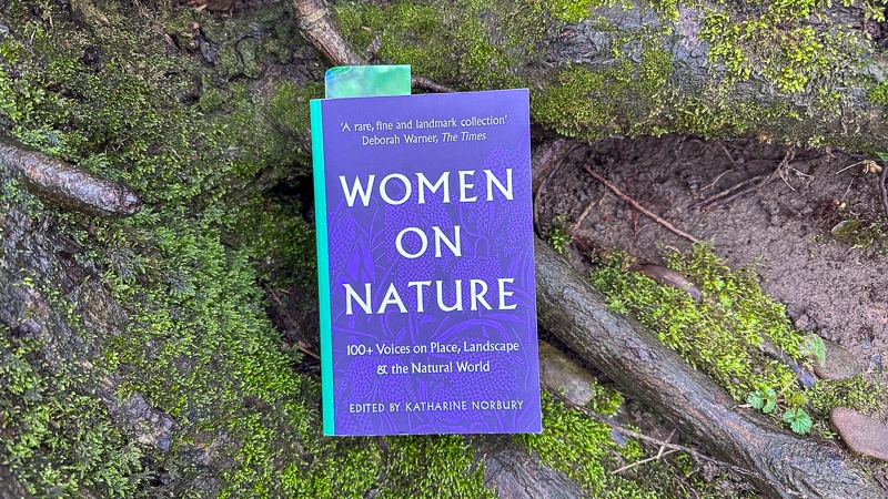 Hayley Kinsey Women On Nature