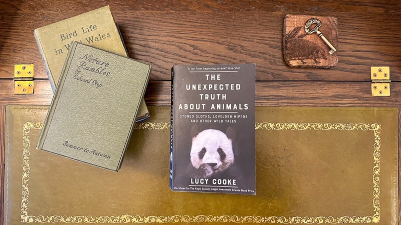 Hayley Kinsey The Unexpected Truth About Animals